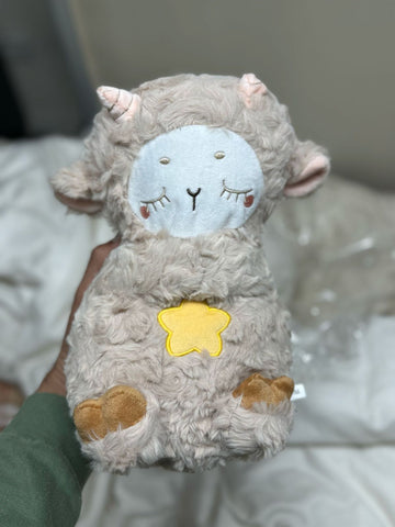 Stress Relief Stuffed Toy